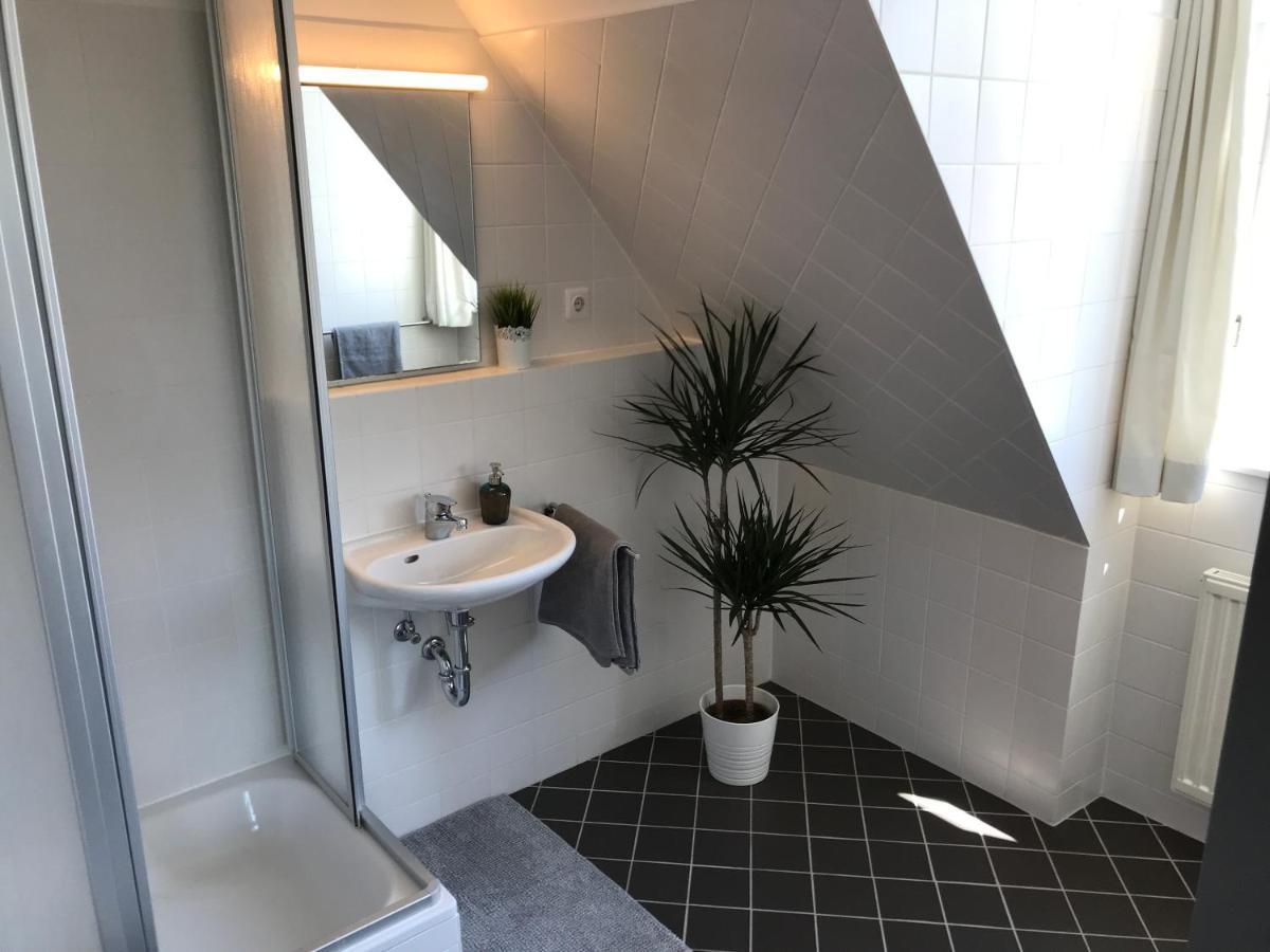 Ferienwohnungen Und Apartmenthaus Halle Saale - Villa Mathilda エクステリア 写真